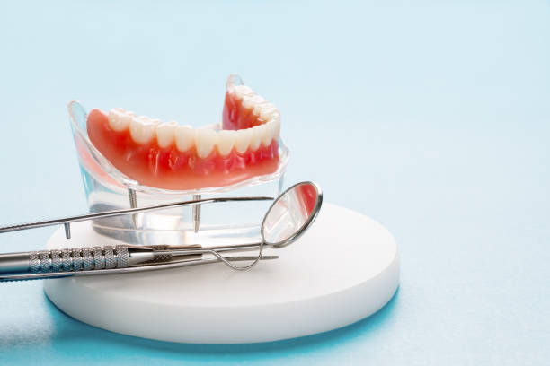 Reliable Simonton Lake, IN Holistic Dental Care Services Solutions